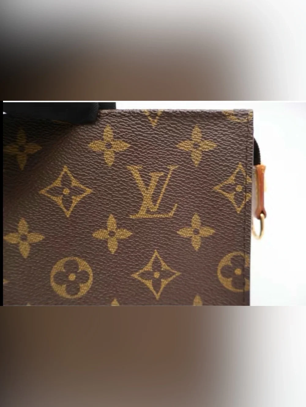 Pre-Owned Louis Vuitton Monogram Canvas Pochette